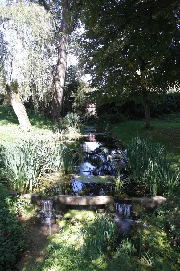 The grounds of the chateau including a brook and acres of weeping willow and pond vegetation.
